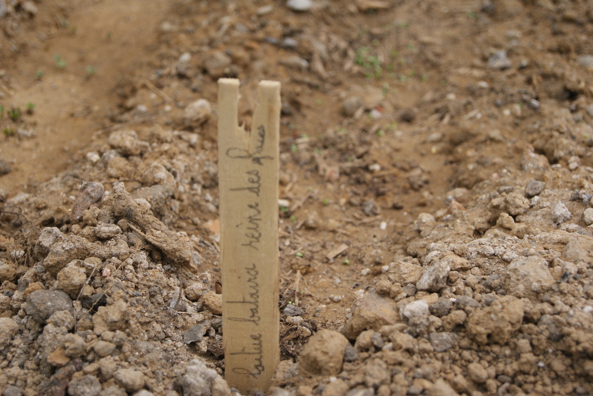 L’atelier jardinage de Martin